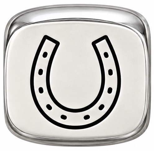 Retired Racehorses charm: A lucky horseshoe